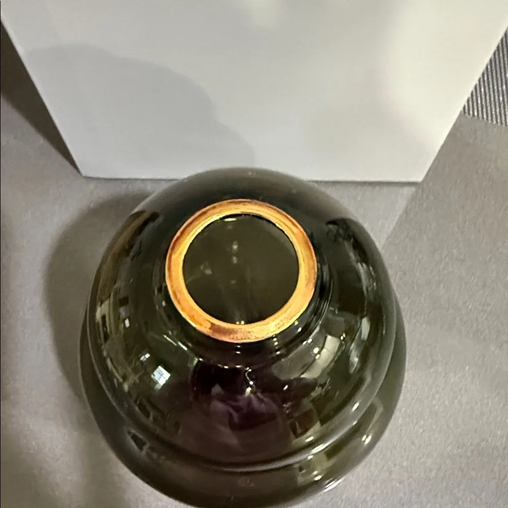 Sancia Gourd Glass Curved Decorative Vase with gold - Brand